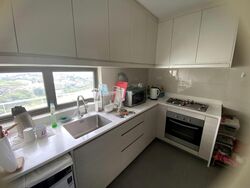 The Skywoods (D23), Condominium #549384711